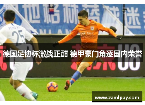 德国足协杯激战正酣 德甲豪门角逐国内荣誉